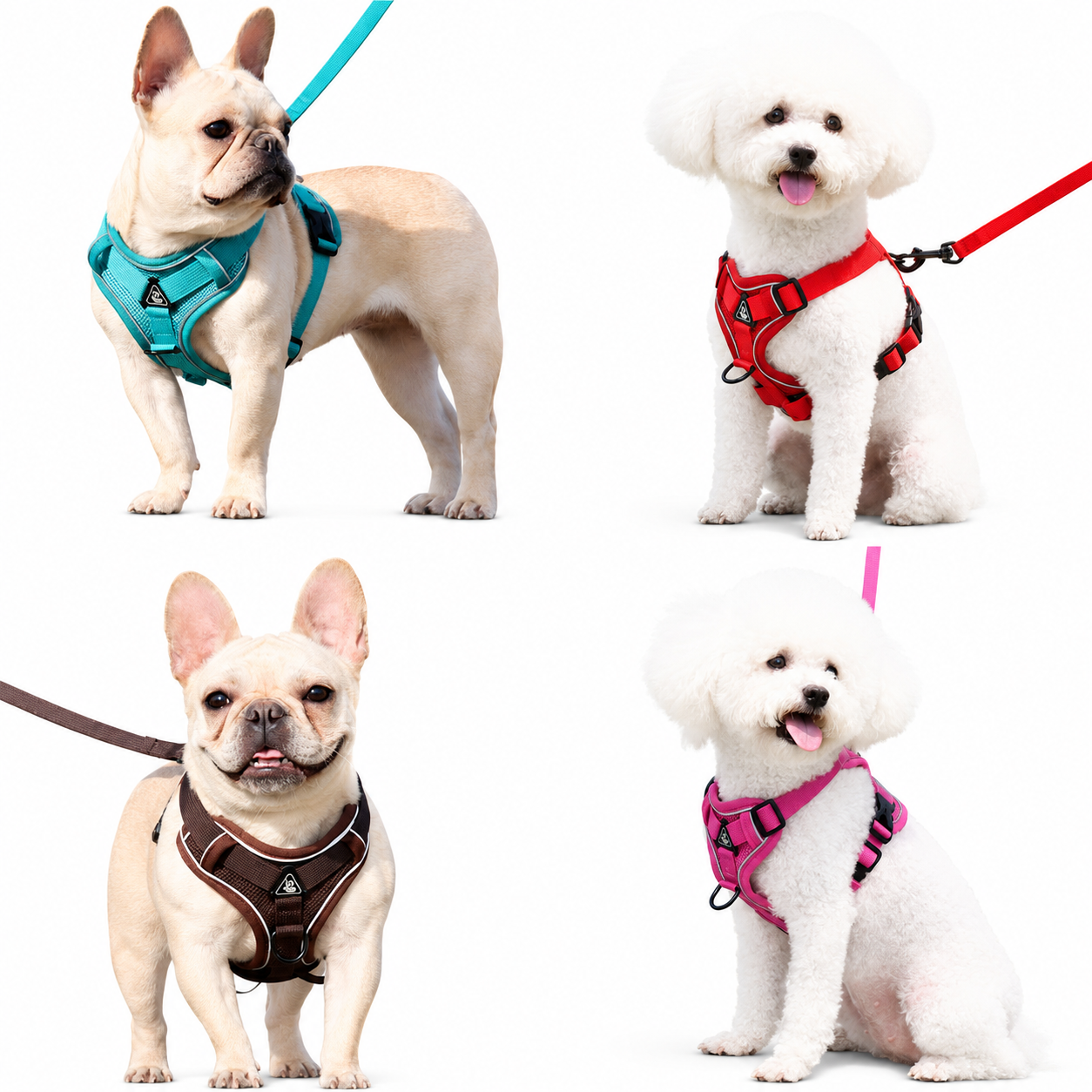 Comfort Control Dog Harness & Leash Set for Small and Medium Dogs
