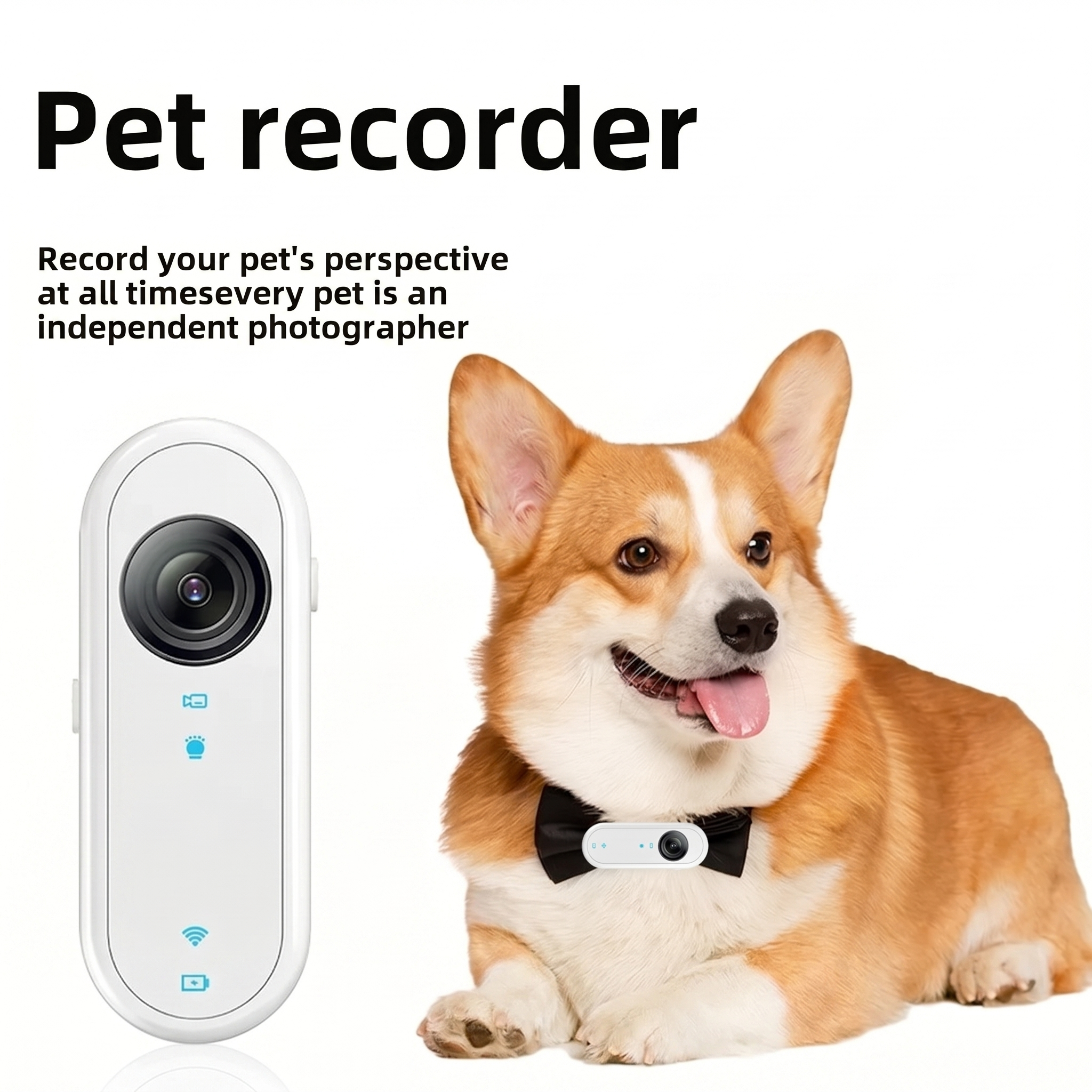 1080P HD Pet Collar Camera with WiFi, Anti-Shake & Waterproof Design