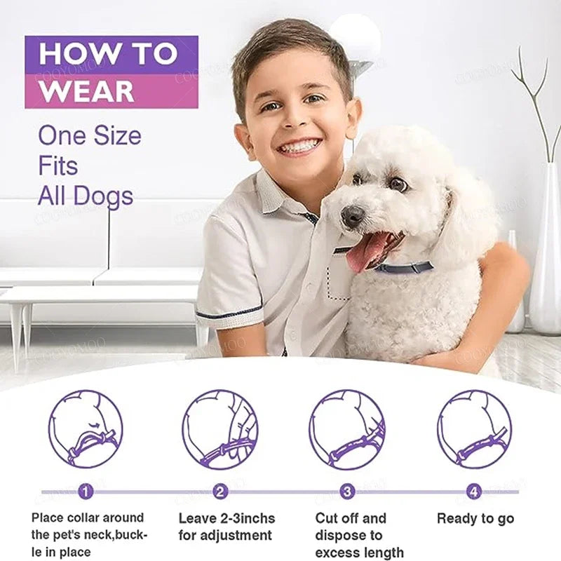 Calming Pet Collar for Dogs & Cats with Long-Lasting Anxiety Relief