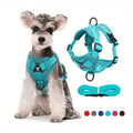 Comfort Fit No-Pull Dog Harness & Leash Set for Small Pets