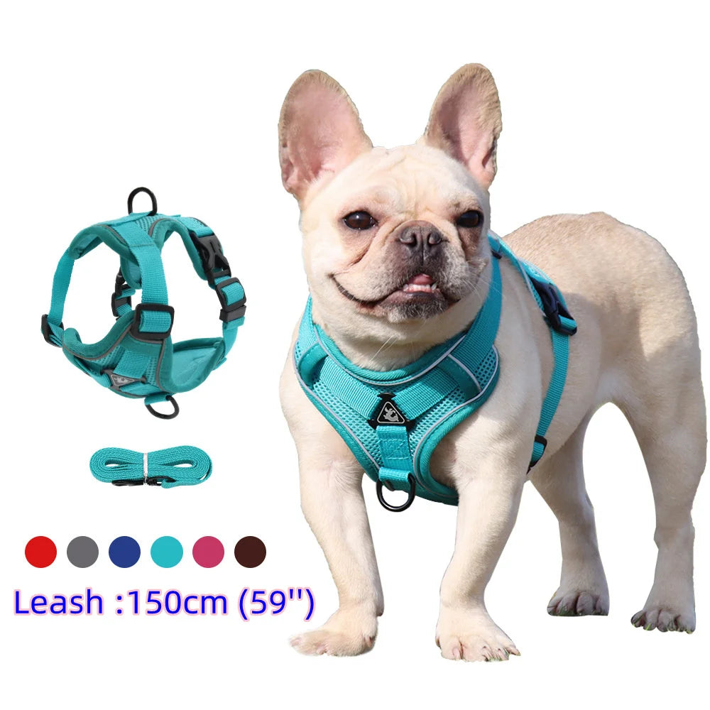 Comfort Control Dog Harness & Leash Set for Small and Medium Dogs