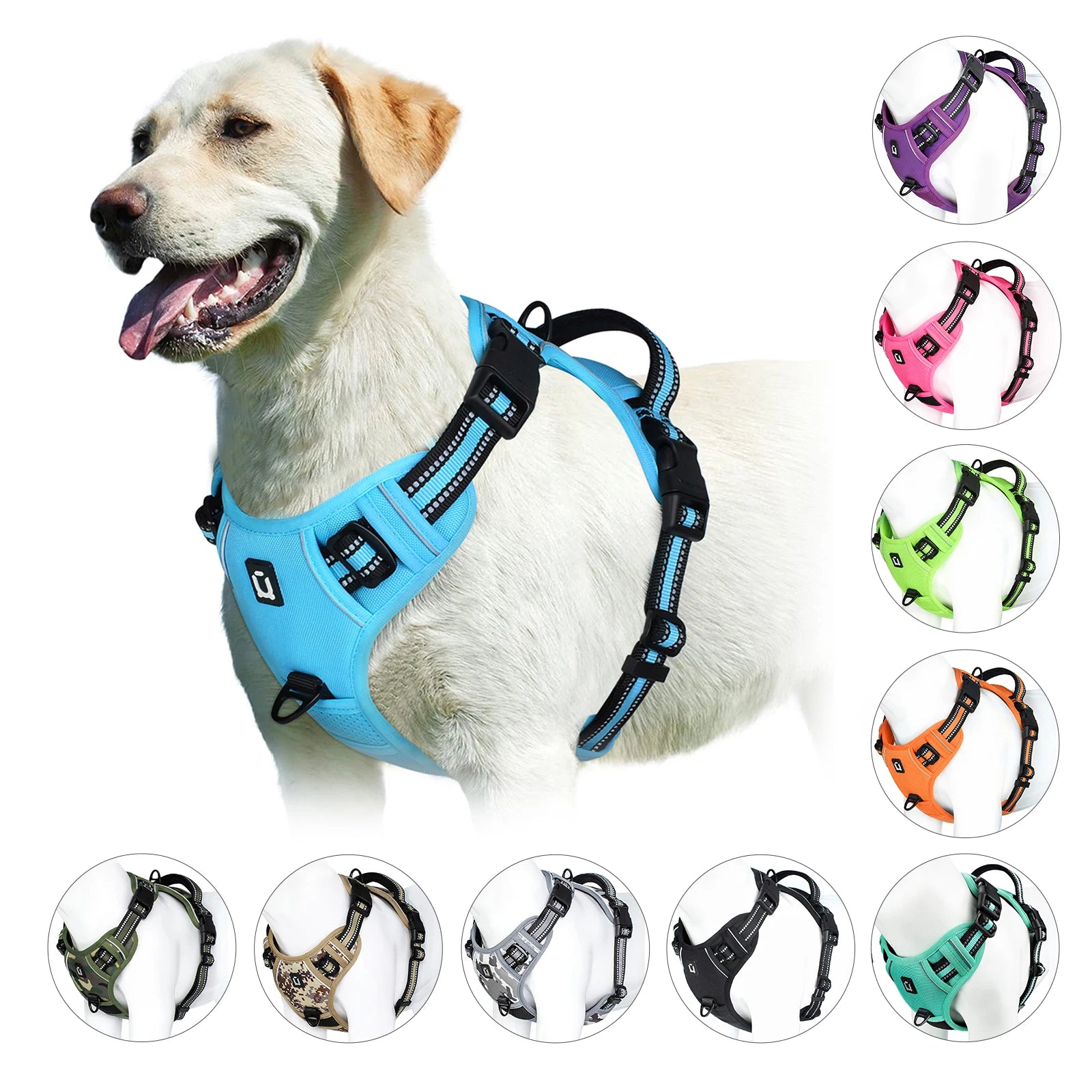 Comfort Control Dog Harness with Soft Padding & Easy Grab Handle